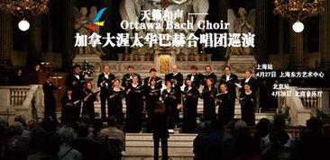 和声在线观看,沉浸式音乐盛宴，云端共享视听盛宴